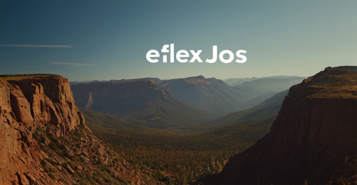 FlexJobs: The Portal for Remote and Flexible Jobs